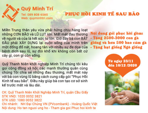 Phục Hồi Kinh Tế Sau Bão